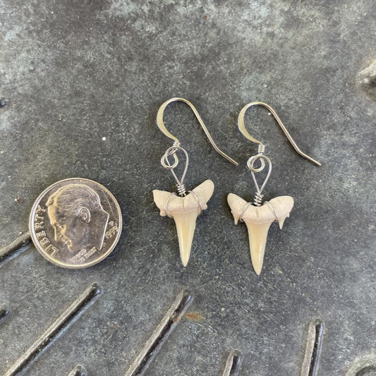 Petite Shark Tooth Earrings