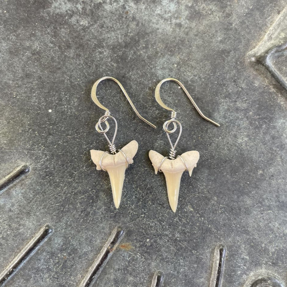 Petite Shark Tooth Earrings