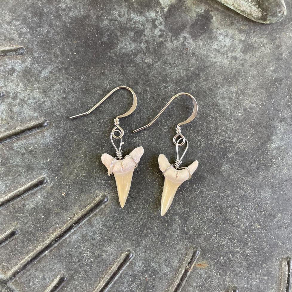 Petite Shark Tooth Earrings