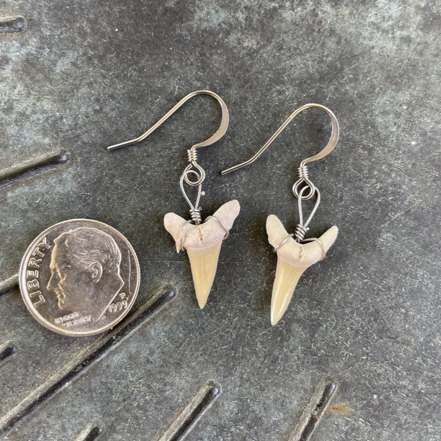 Petite Shark Tooth Earrings