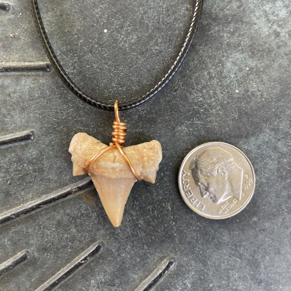 Shark Tooth Necklace