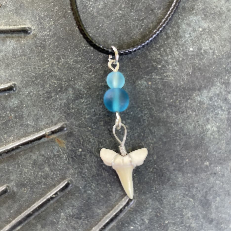 Petite Shark Tooth with Sea Glass Necklace