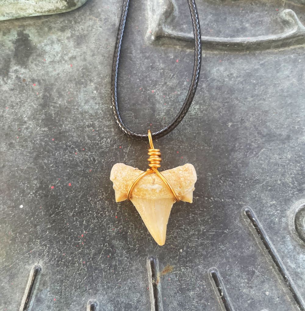 Shark Tooth Necklace