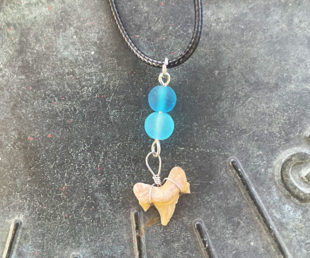 Sea Glass Small Shark Tooth Necklace
