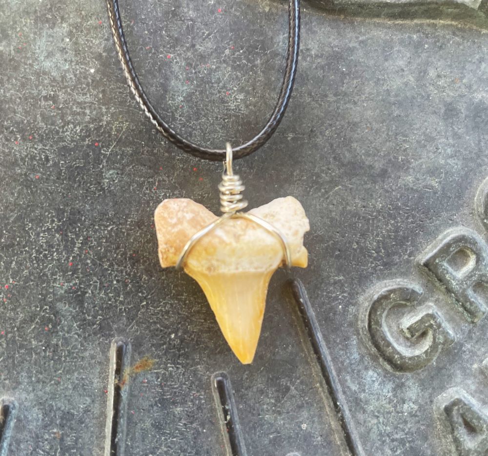 Shark Tooth Necklace