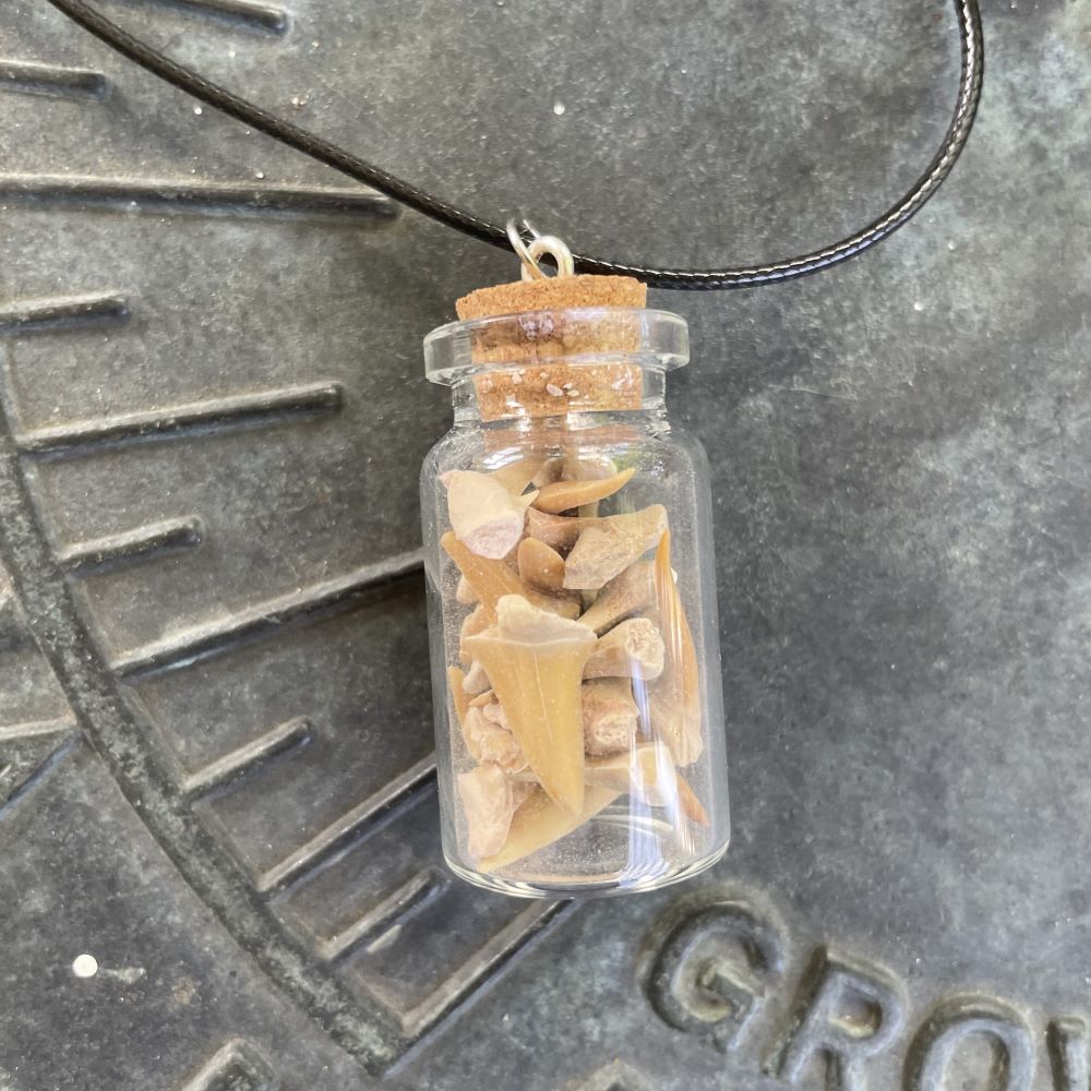 Shark Teeth and Bones Fossil Bottle Necklace