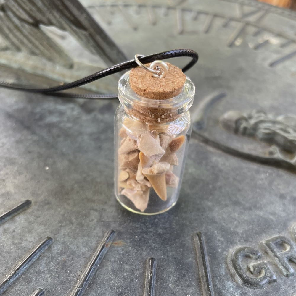 Shark Teeth and Bones Fossil Bottle Necklace