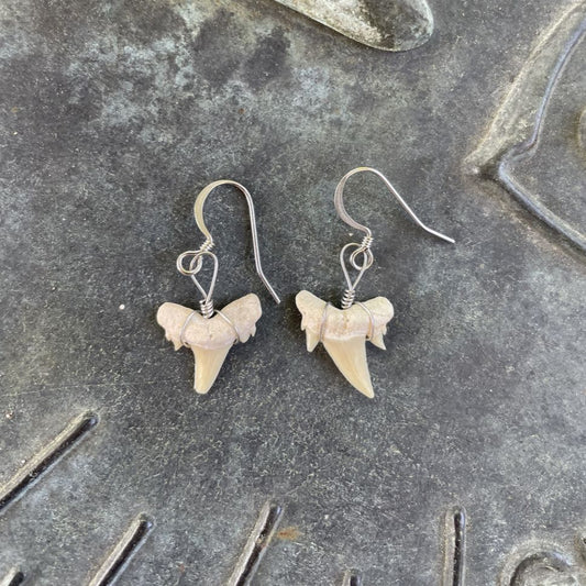 Petite Shark Tooth Earrings