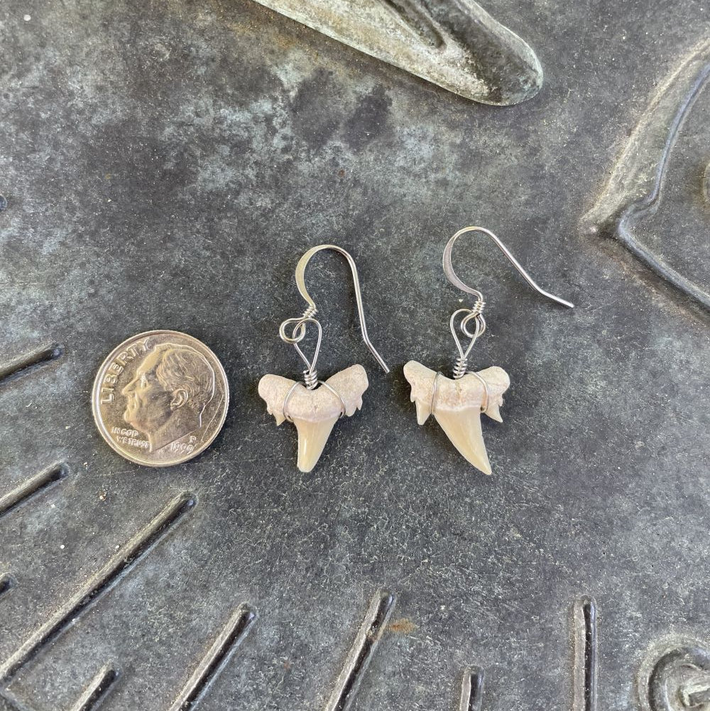 Petite Shark Tooth Earrings