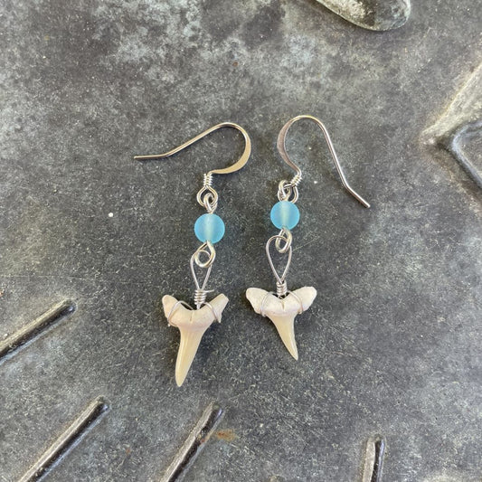 Petite Shark Tooth with Sea Glass Earrings