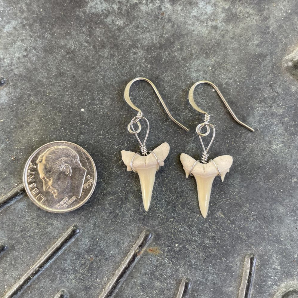 Petite Shark Tooth Earrings