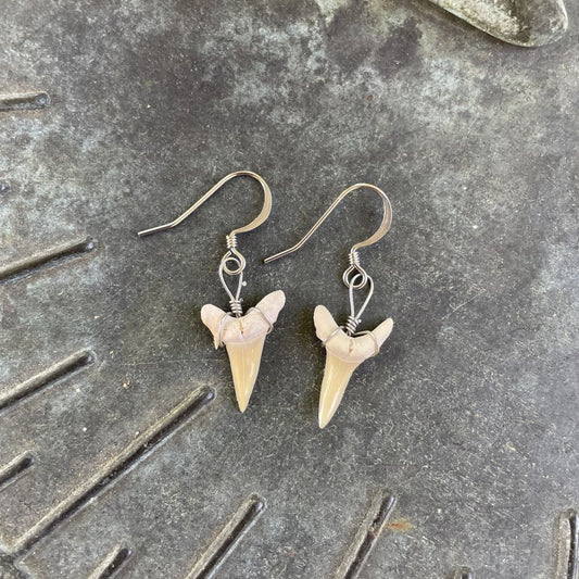 Petite Shark Tooth Earrings