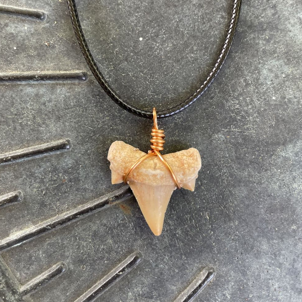 Shark Tooth Necklace
