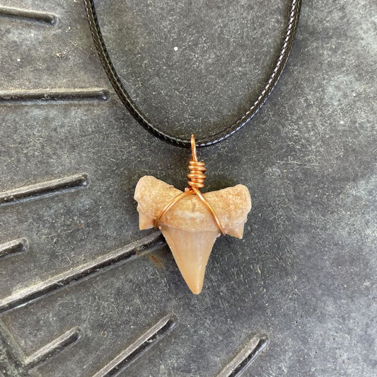 Shark Tooth Necklace