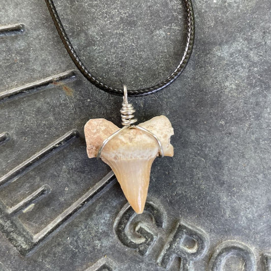 Shark Tooth Necklace