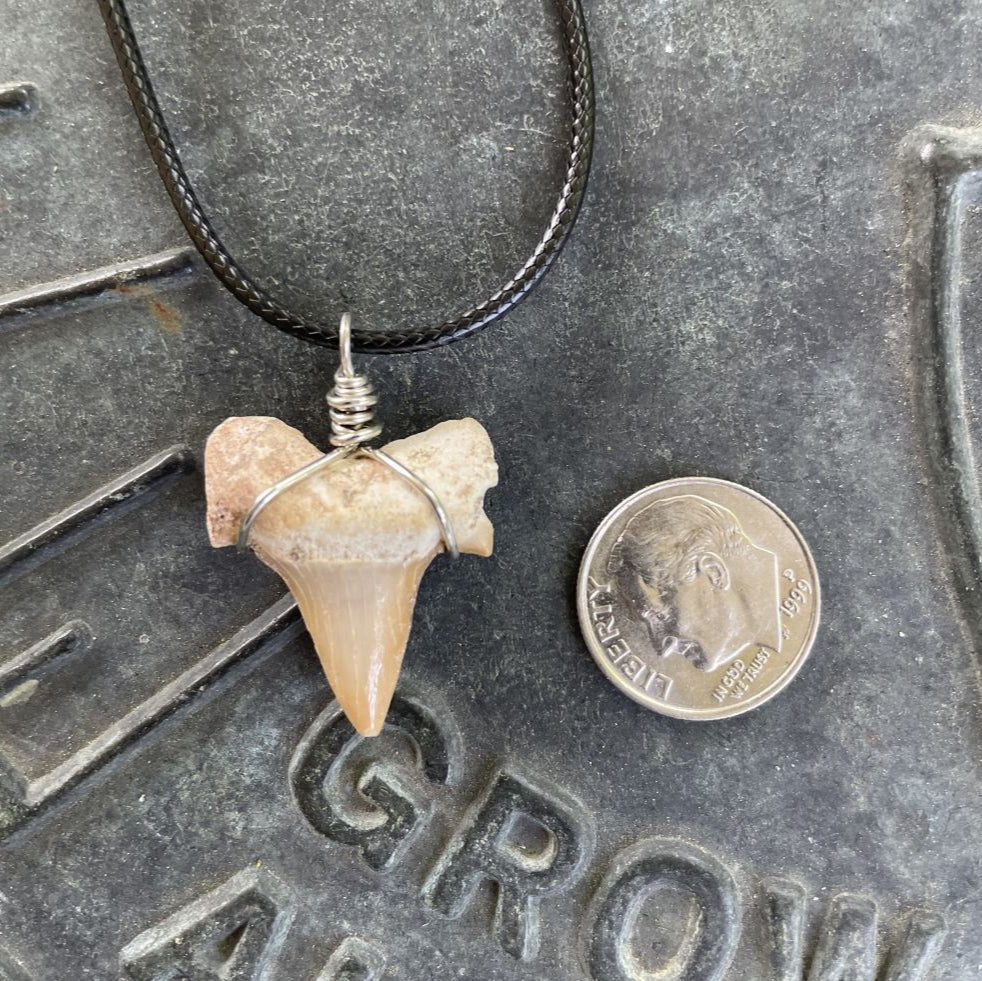 Shark Tooth Necklace