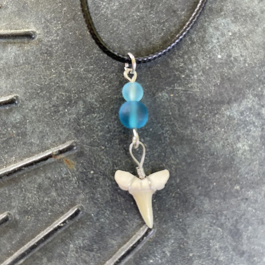 Petite Shark Tooth with Sea Glass Necklace