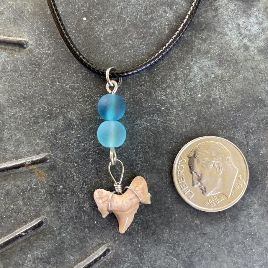 Petite Shark Tooth with Sea Glass Necklace
