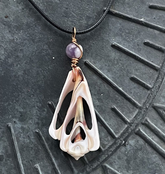 Trocca Shell with Amethyst Necklace