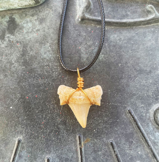 Shark Tooth Necklace
