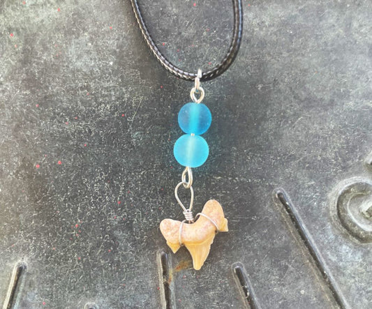 Sea Glass Small Shark Tooth Necklace