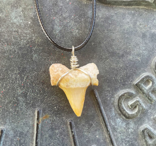 Shark Tooth Necklace