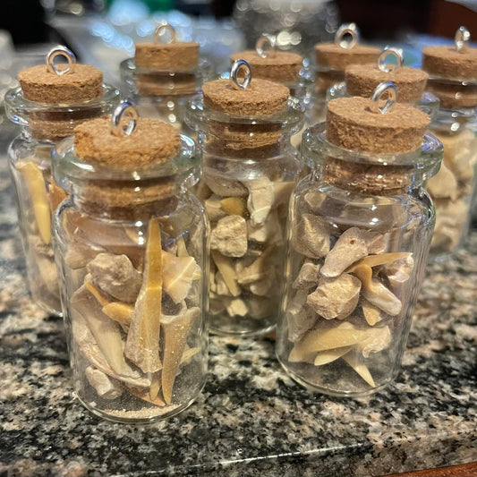 Shark Teeth and Bones Fossil Bottle Necklace